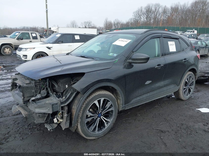 2022 Ford Escape Sel