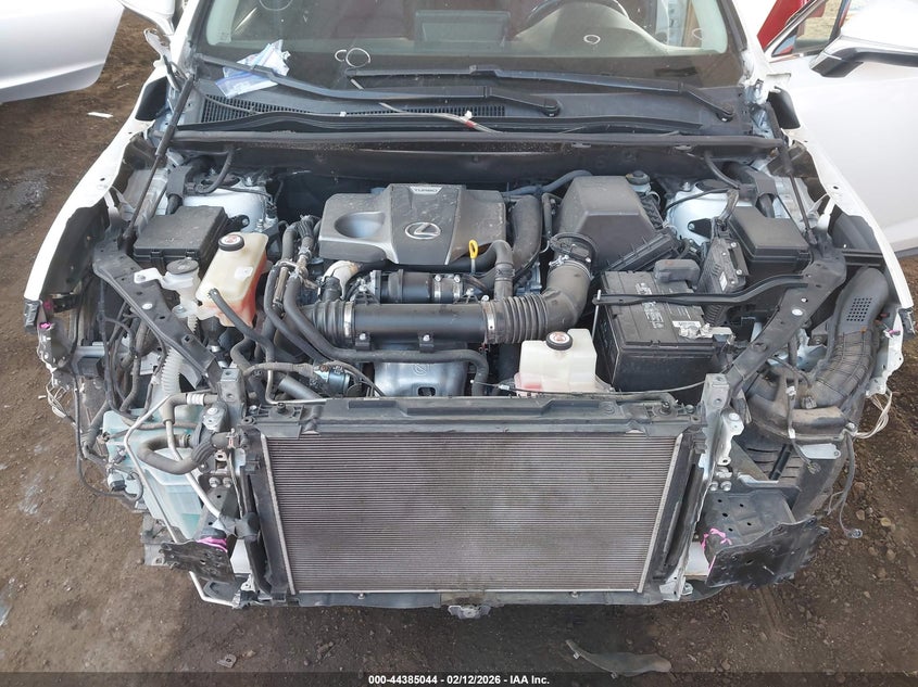 2019 Lexus Nx 300 VIN: JTJYARBZ3K2133419 Lot: 44385044