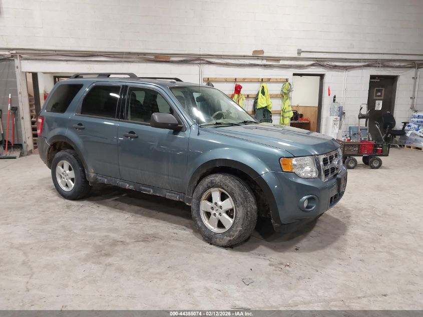 2011 Ford Escape Xlt