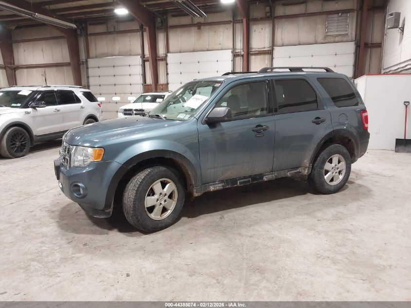2011 Ford Escape Xlt
