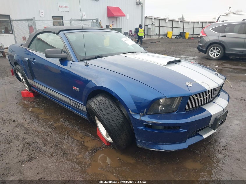 2008 Ford Mustang Gt Deluxe/Gt Premium
