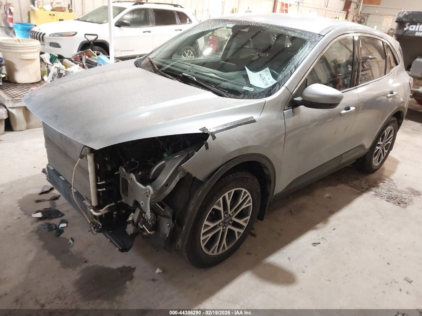 2022 Ford Escape Sel Hybrid