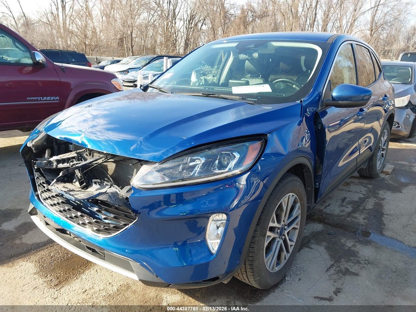 2022 Ford Escape Sel