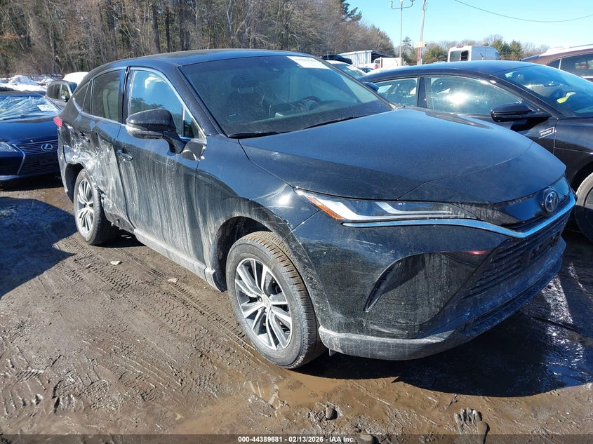 2024 TOYOTA VENZA LE