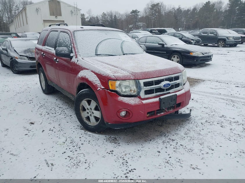 2011 Ford Escape Xlt