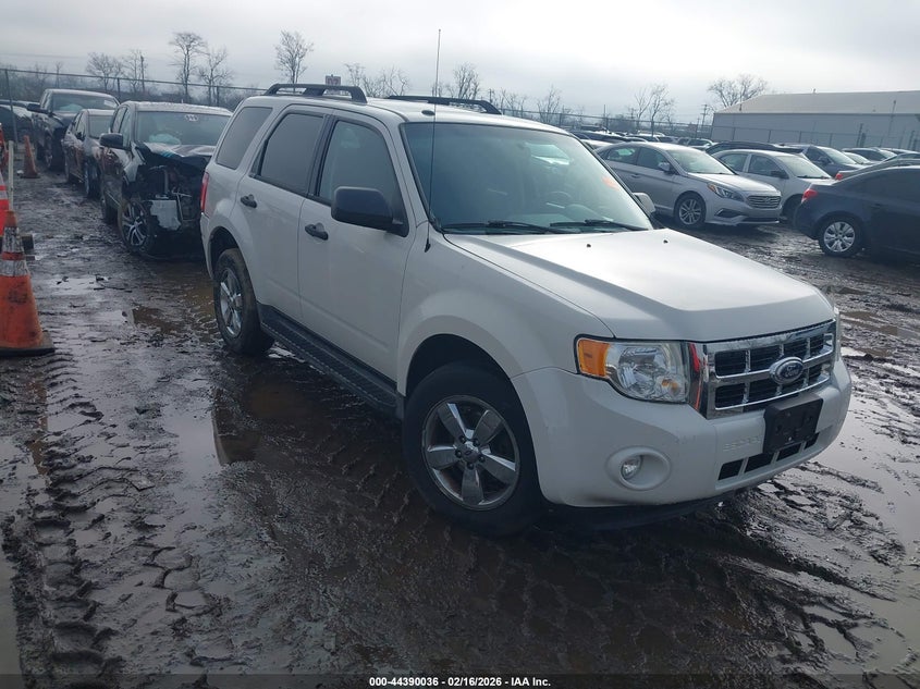 2010 Ford Escape Xlt