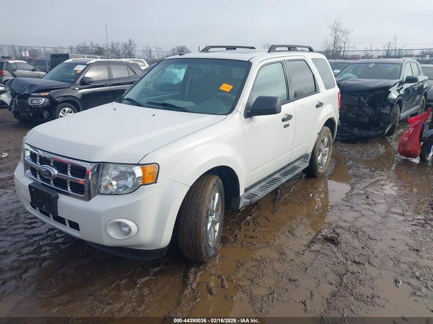 2010 Ford Escape Xlt