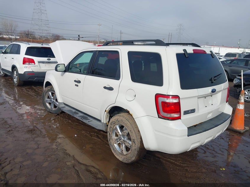 2010 Ford Escape Xlt