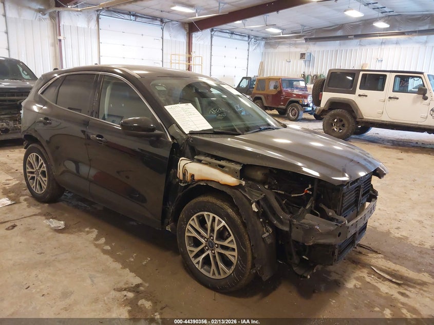 2022 Ford Escape Sel