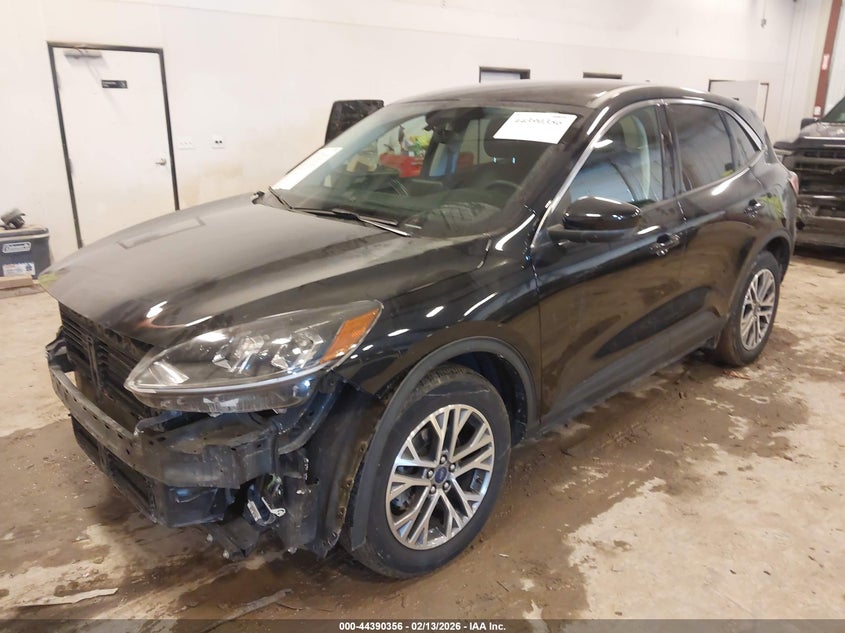 2022 Ford Escape Sel