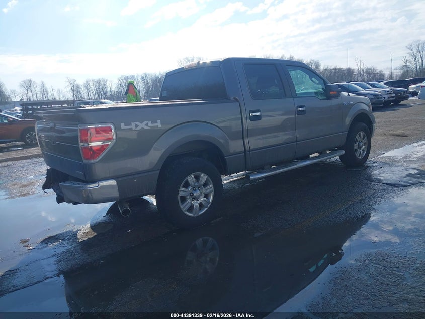2011 Ford F-150 Xlt