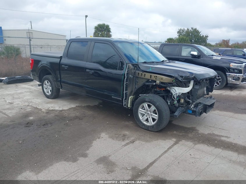 1FTFW1CD6NFB30446 2022 Ford F-150 Xl auction photo 1