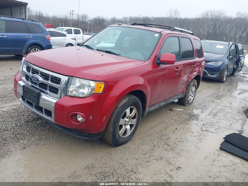 2009 Ford Escape Limited
