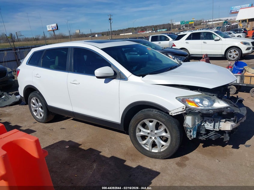 2012 Mazda Cx-9 Touring VIN: JM3TB2CA6C0335931 Lot: 44392844