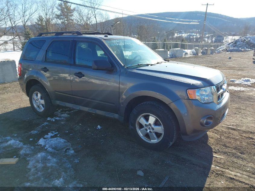 2011 Ford Escape Xlt