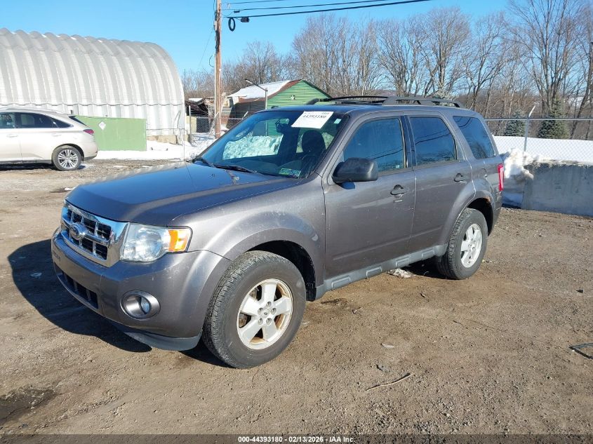 2011 Ford Escape Xlt
