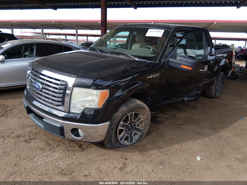 2010 Ford F-150