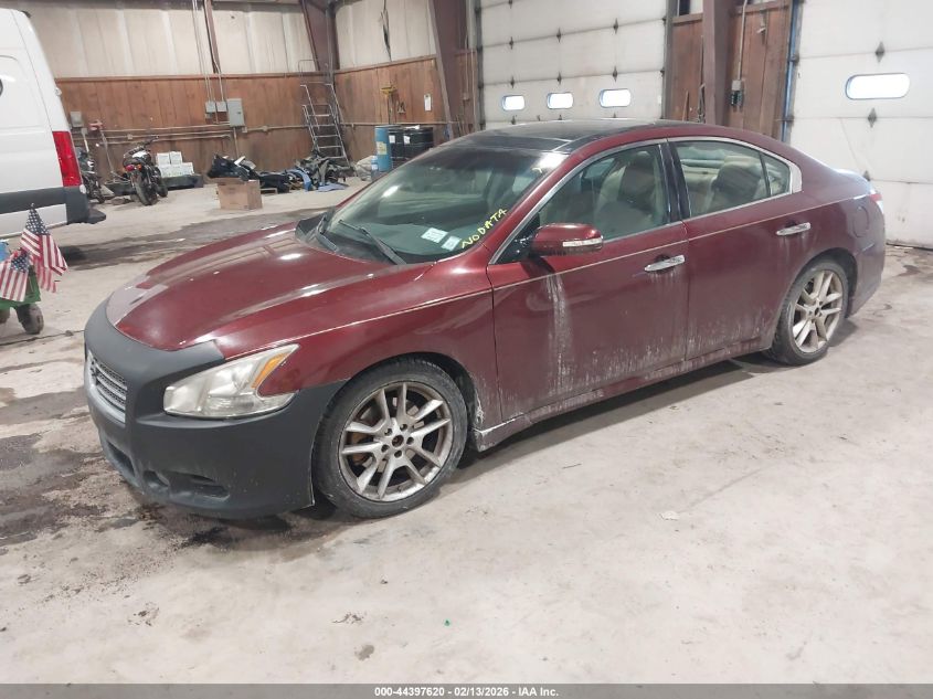 2010 Nissan Maxima 3.5 Sv