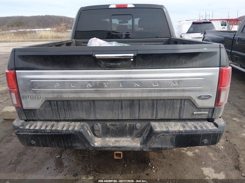 2019 Ford F-150 Platinum VIN: 1FTEW1E44KFA57985 Lot: 44399155