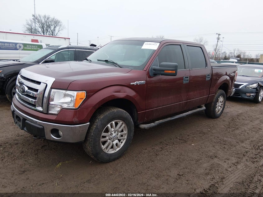 2010 Ford F-150 Fx4/Harley-Davidson/King Ranch/Lariat/Platinum/Xl/Xlt