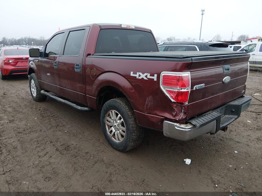 2010 Ford F-150 Fx4/Harley-Davidson/King Ranch/Lariat/Platinum/Xl/Xlt