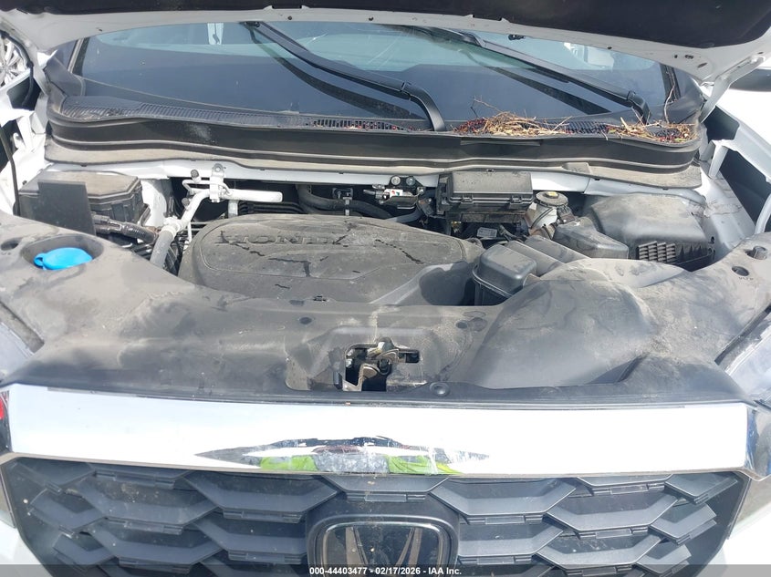 2023 Honda Passport Awd Ex-L VIN: 5FNYF8H58PB035557 Lot: 44403477