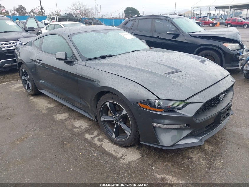 2019 Ford Mustang Ecoboost