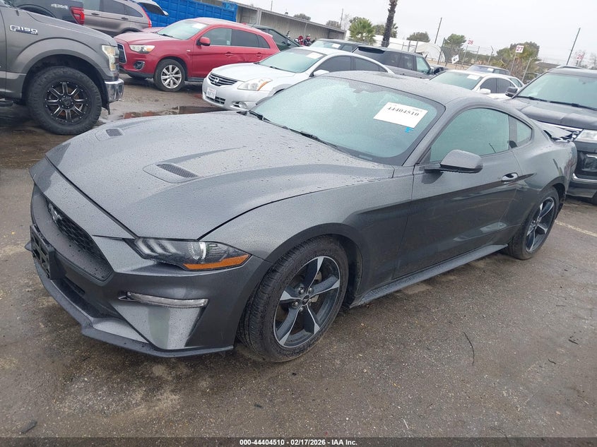 2019 Ford Mustang Ecoboost