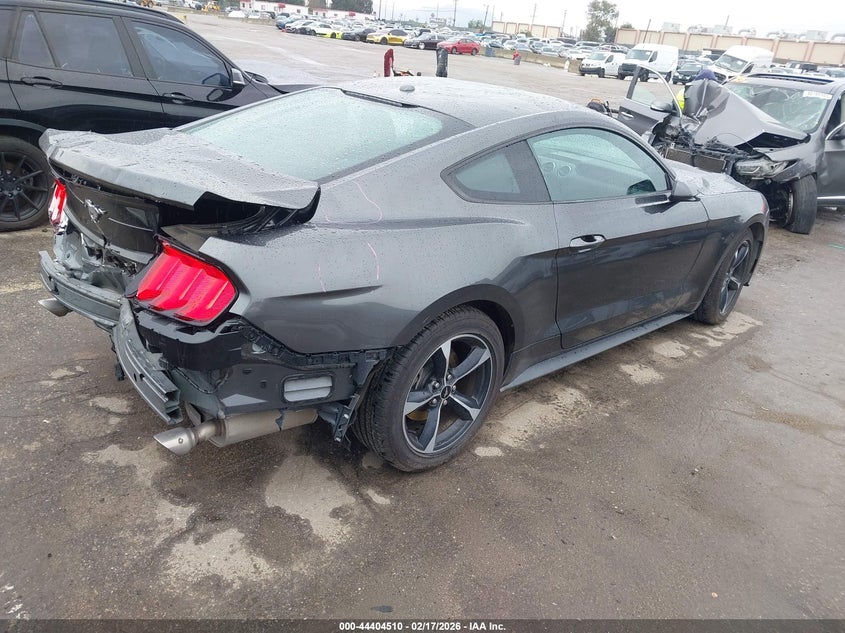 2019 Ford Mustang Ecoboost
