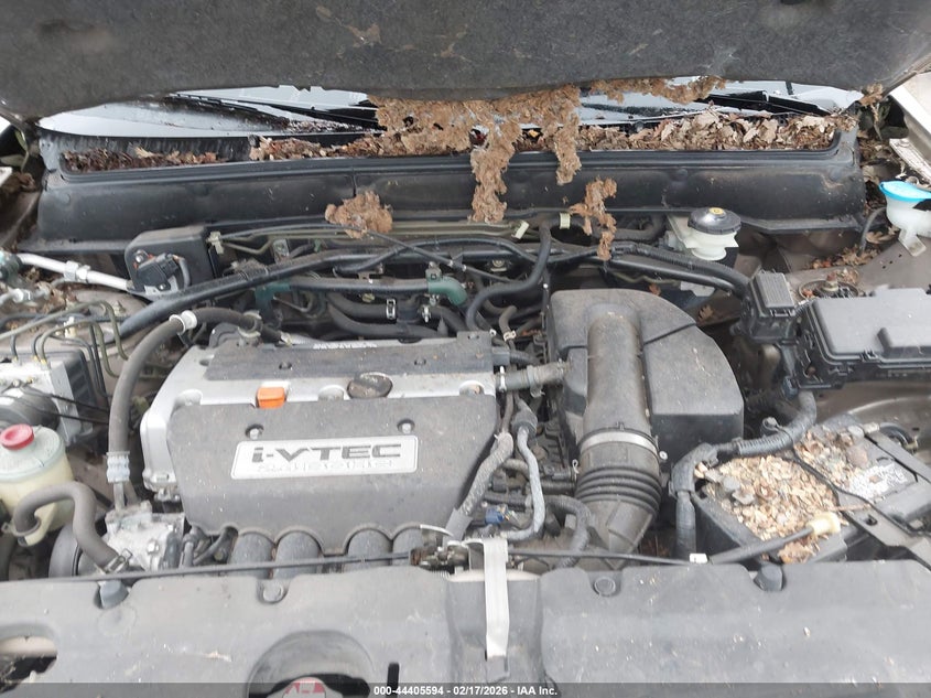 2005 Honda Cr-V Se VIN: JHLRD78915C013131 Lot: 44405594