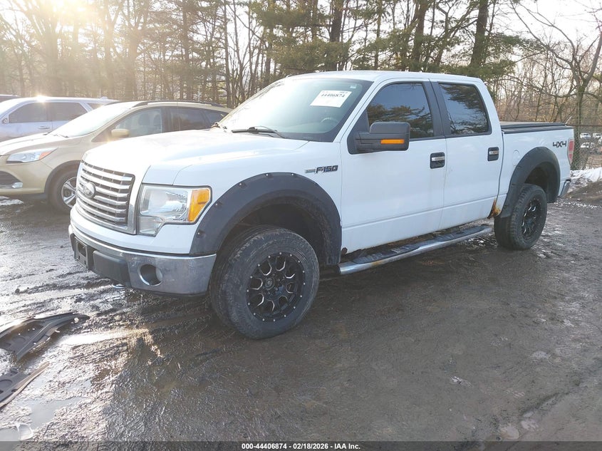 2010 Ford F-150 Xlt