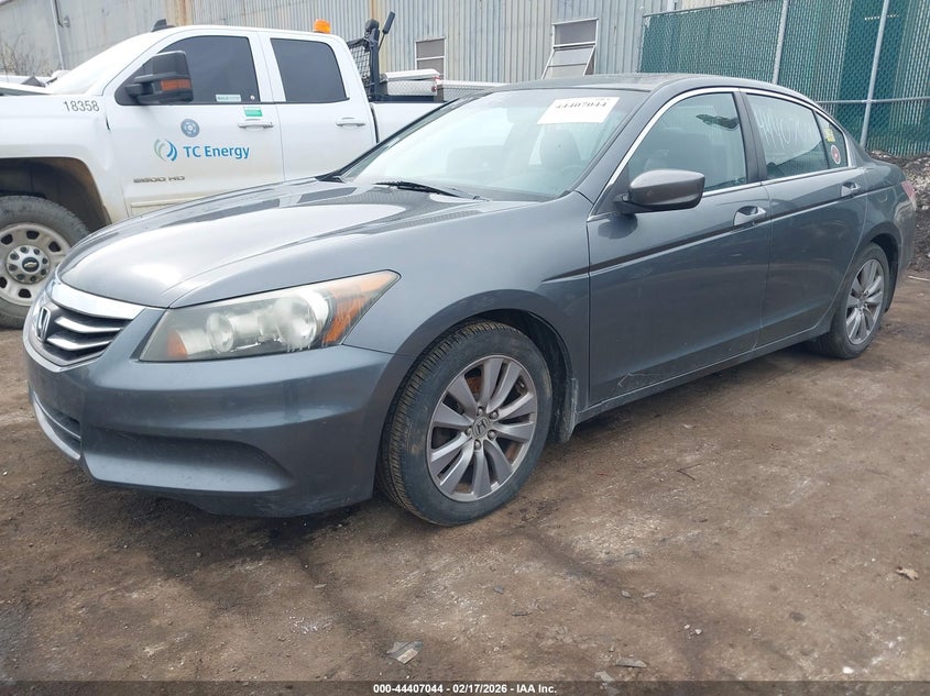 2011 Honda Accord 2.4 Ex-L