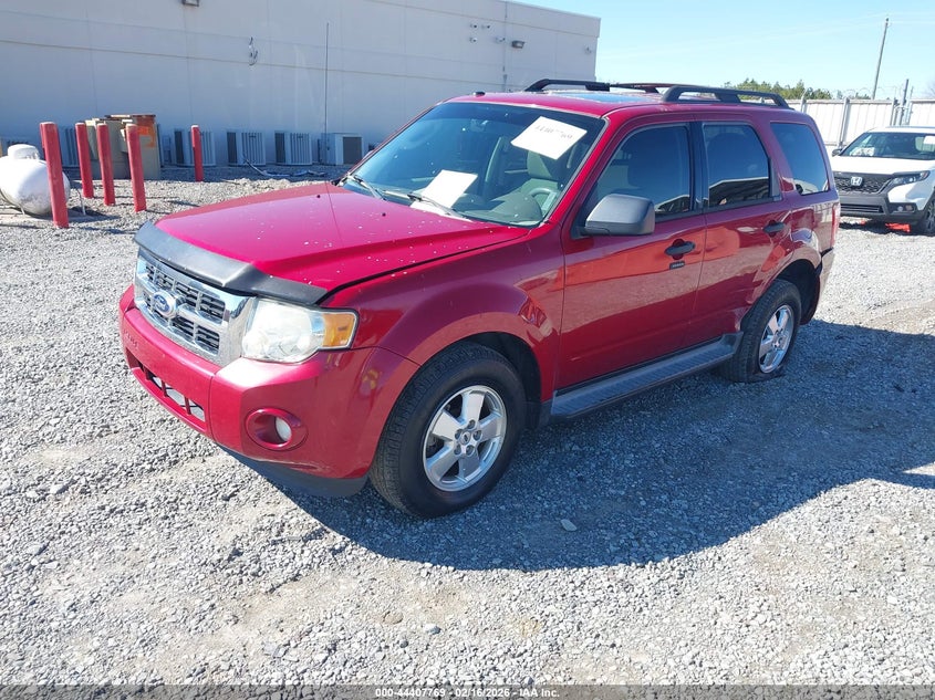 2010 Ford Escape Xlt