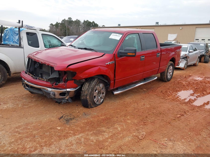 2010 Ford F-150 Fx4/Harley-Davidson/King Ranch/Lariat/Platinum/Xl/Xlt