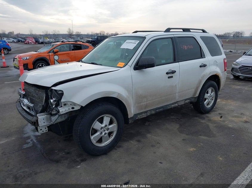 2010 Ford Escape Xlt
