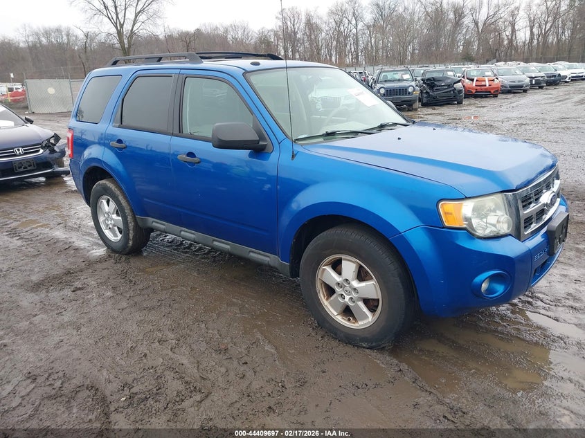 2011 Ford Escape Xlt