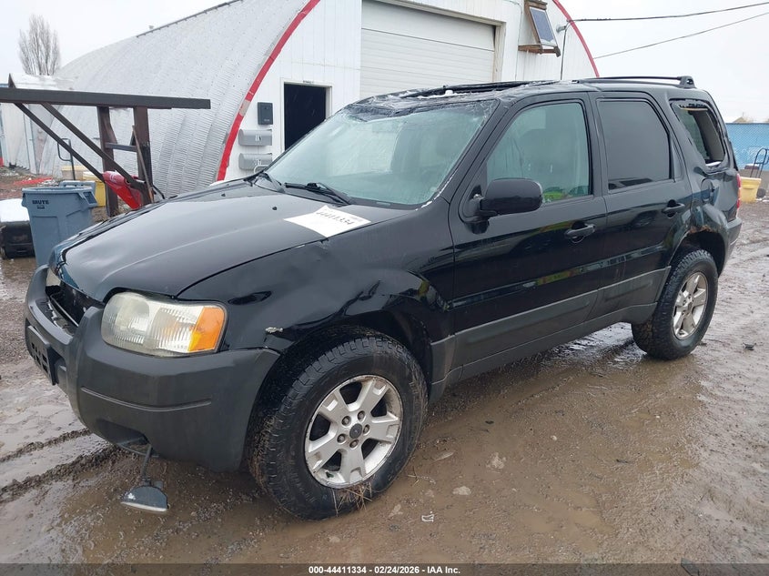 2004 Ford Escape Xlt
