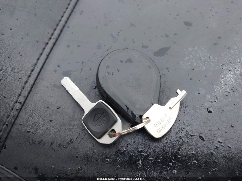 2024 Harley-Davidson Fxlrs VIN: 1HD1YWZ19RB044784 Lot: 44414963