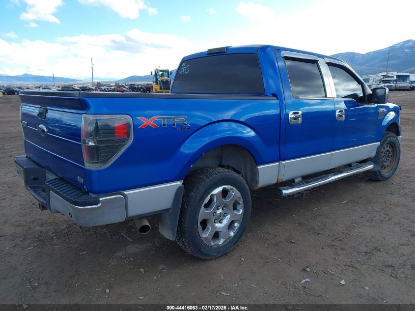 2010 Ford F-150 Fx4/Harley-Davidson/King Ranch/Lariat/Platinum/Xl/Xlt