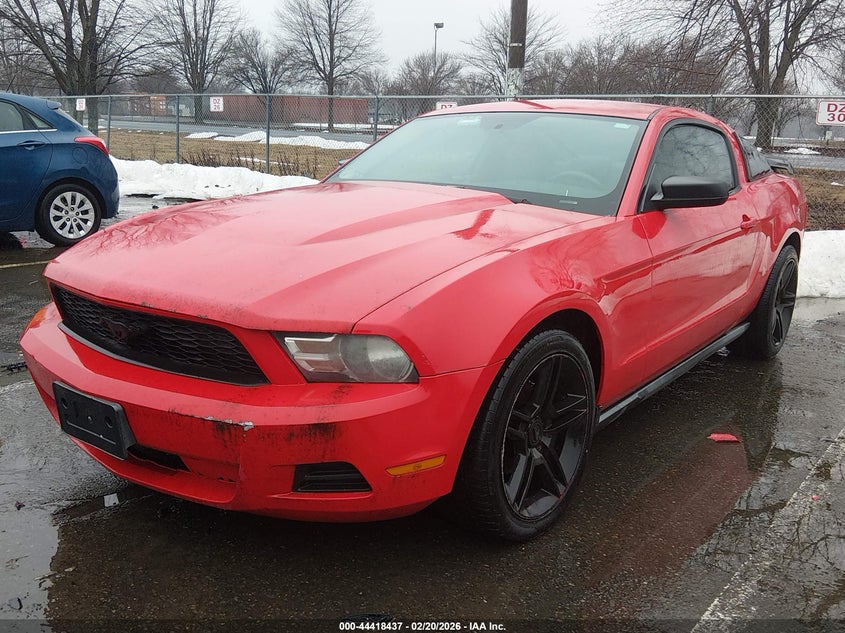 2010 Ford Mustang V6/V6 Premium