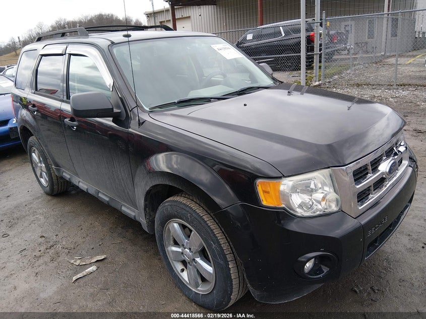 2009 Ford Escape Xlt