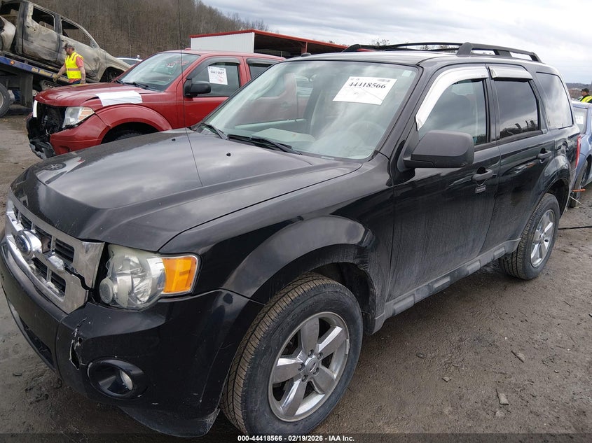 2009 Ford Escape Xlt