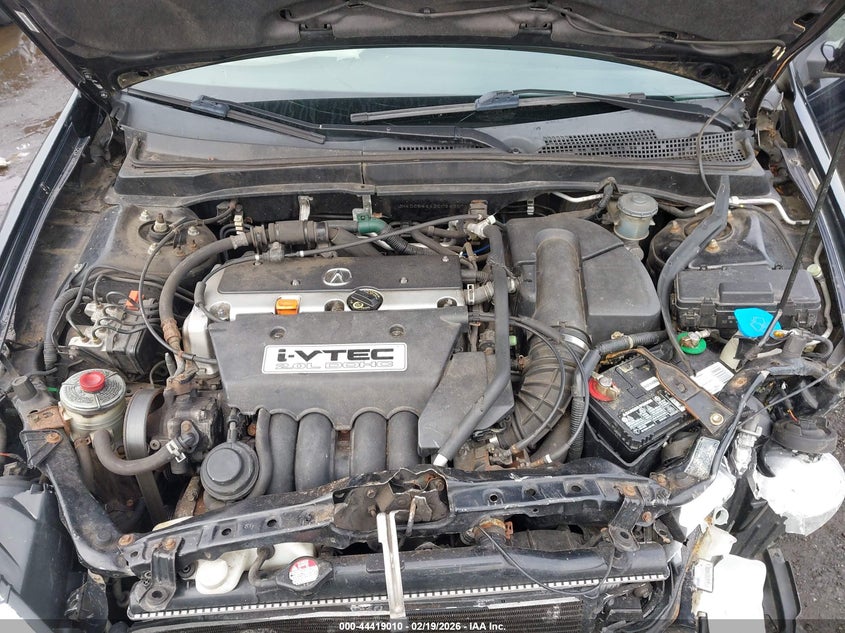 2002 Acura Rsx VIN: JH4DC54842C024307 Lot: 44419010