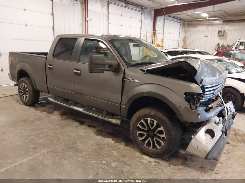 2010 Ford F-150 Fx4/Harley-Davidson/King Ranch/Lariat/Platinum/Xl/Xlt