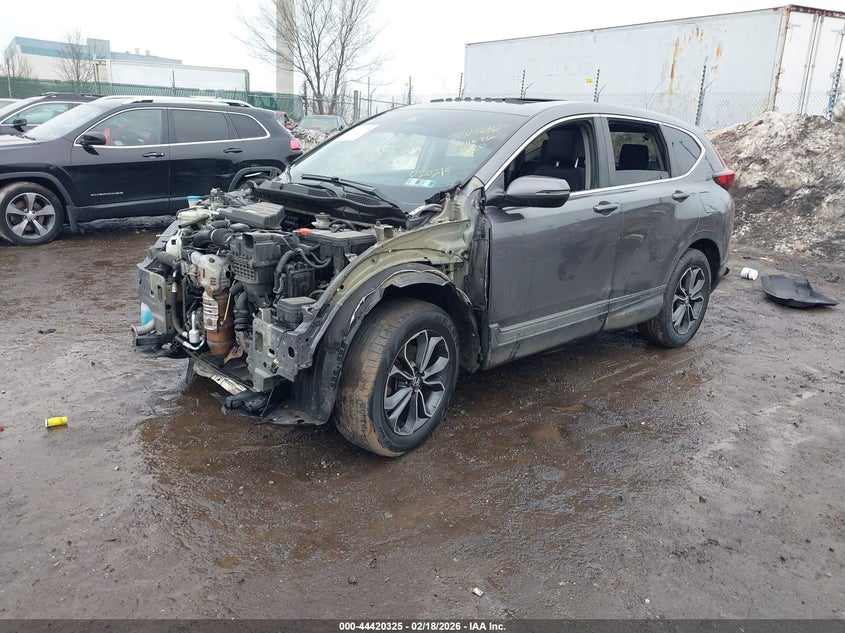 AtlanticExpress - Honda CR-V