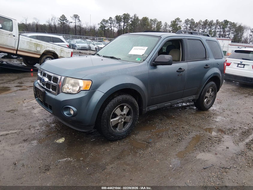 2011 Ford Escape Xlt