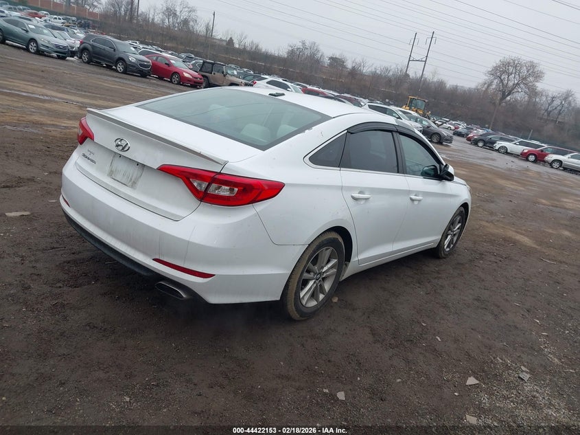 AtlanticExpress - Hyundai Sonata