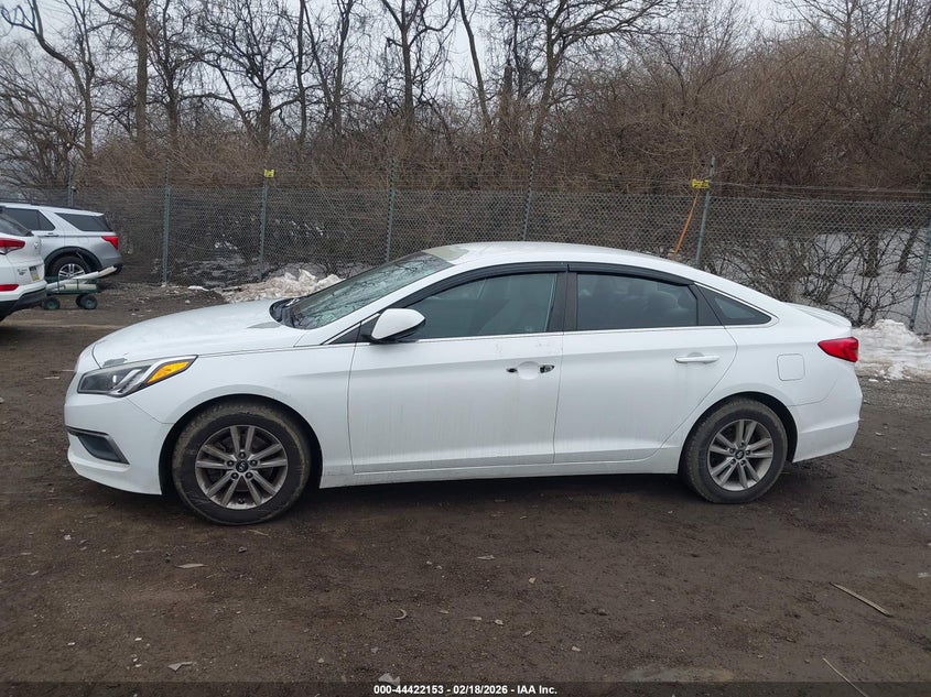AtlanticExpress - Hyundai Sonata