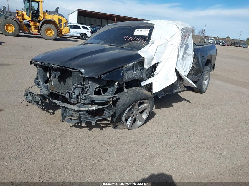 Vin: 1d7rb1gp3as165241, lot: 44919129, dodge ram 1500 st 20102