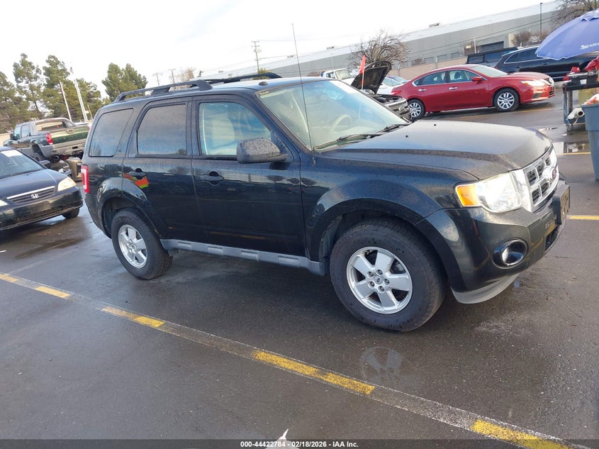 2011 Ford Escape Xlt